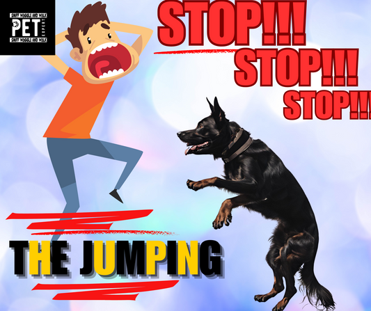 How to Stop Your Dog from Jumping Up!