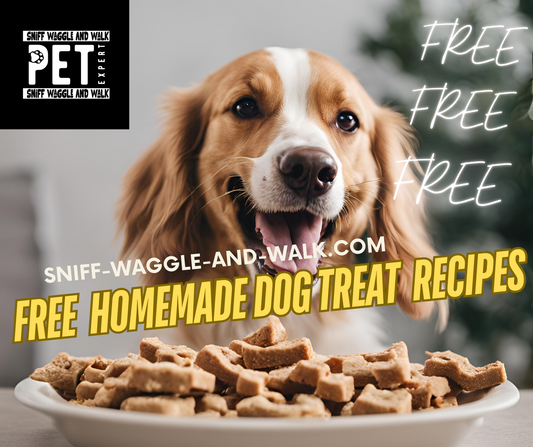 Free Three Homemade Dog Treat Recipes (A Healthier Choice for Your Pup)