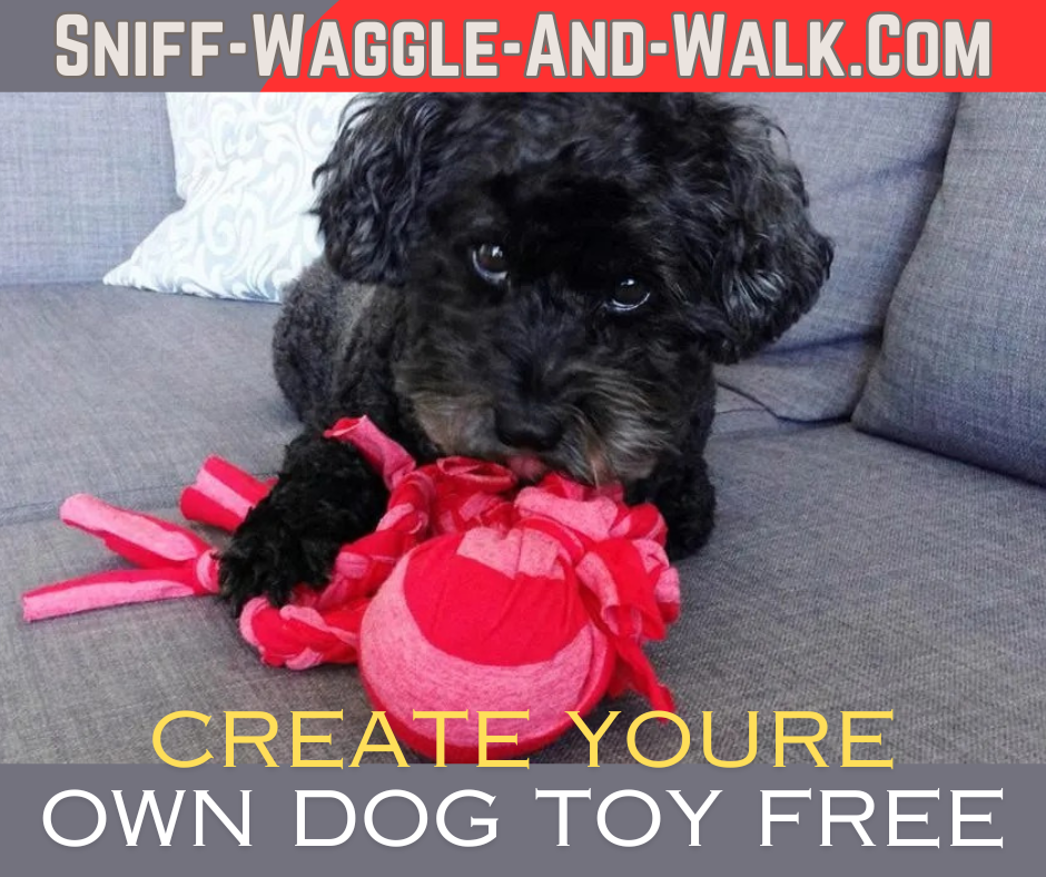 DIY Braided T-Shirt Dog Toy: A Tail-Wagging DIY Adventure!