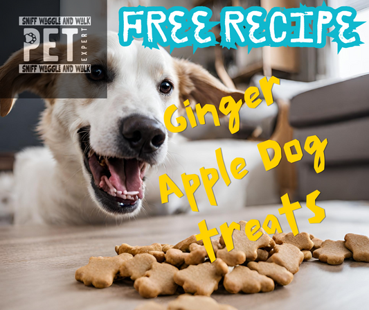 Free Treat Recipe Time Ginger Apple Dog Treats