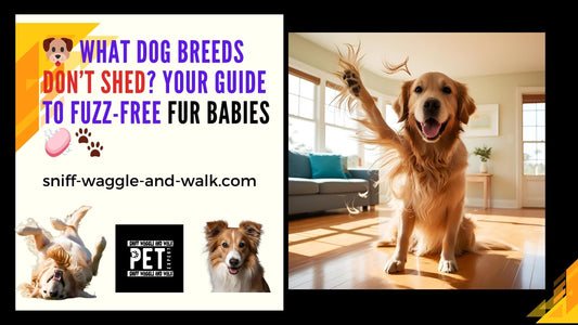 🐶 What Dog Breeds Don’t Shed? Your Guide to Fuzz-Free Fur Babies 🧼🐾