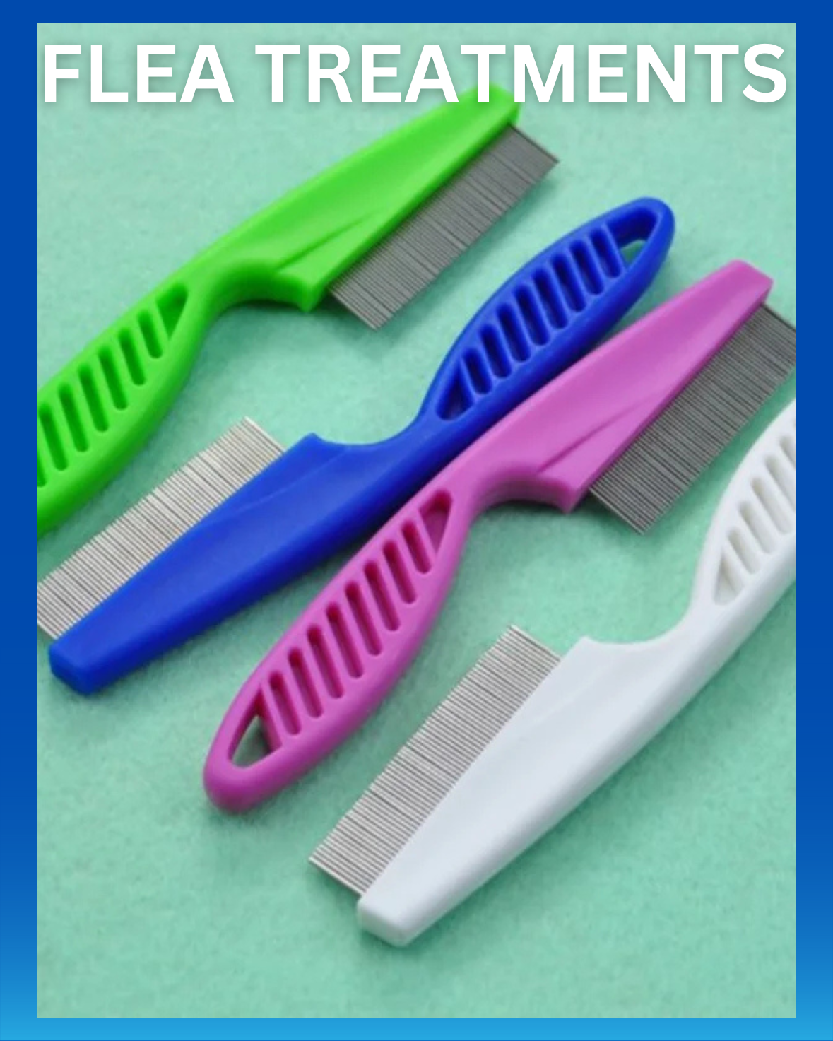 FLEA TREATMENTS