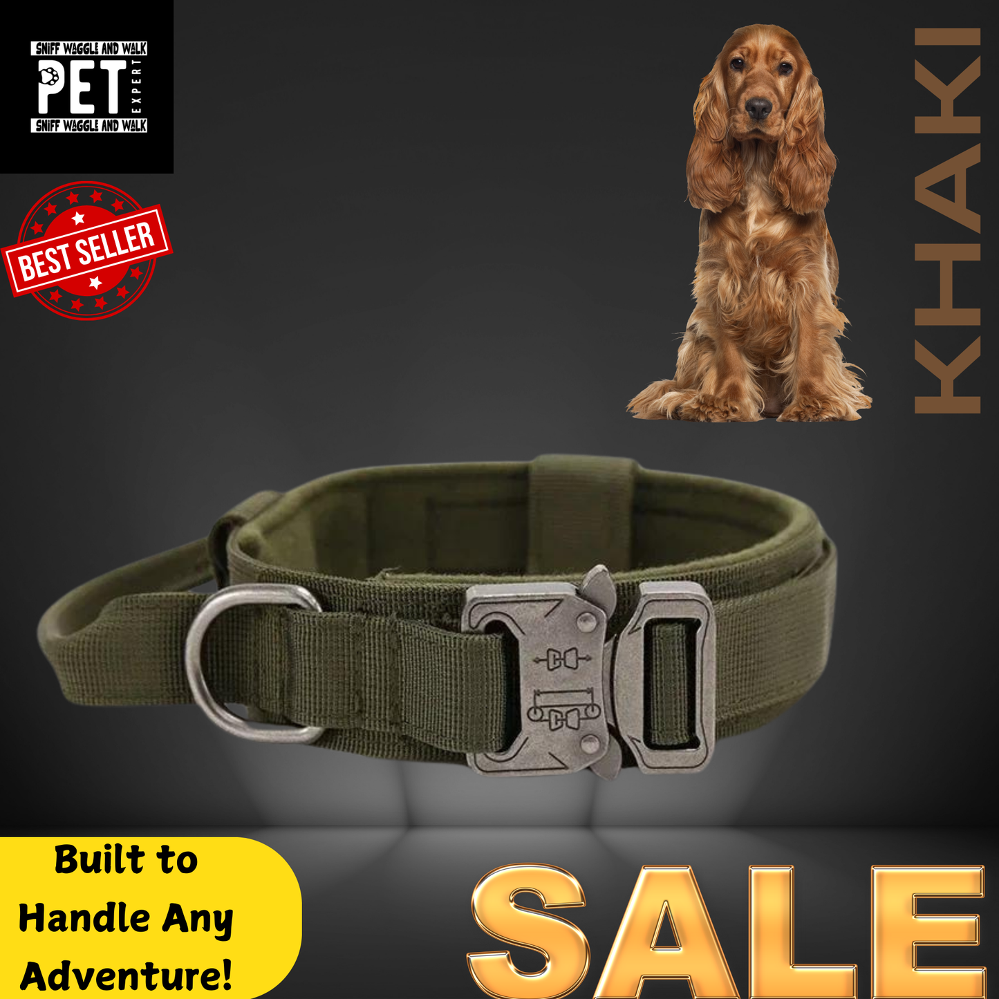 Heavy Duty Collars with leash option Sniffwaggleandwalk™