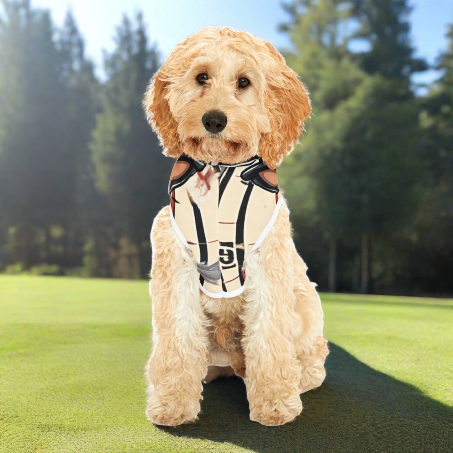 🐾 Sniffwagglenwalk™ Pet Hoodie "Dart board" - Sniff Waggle And Walk