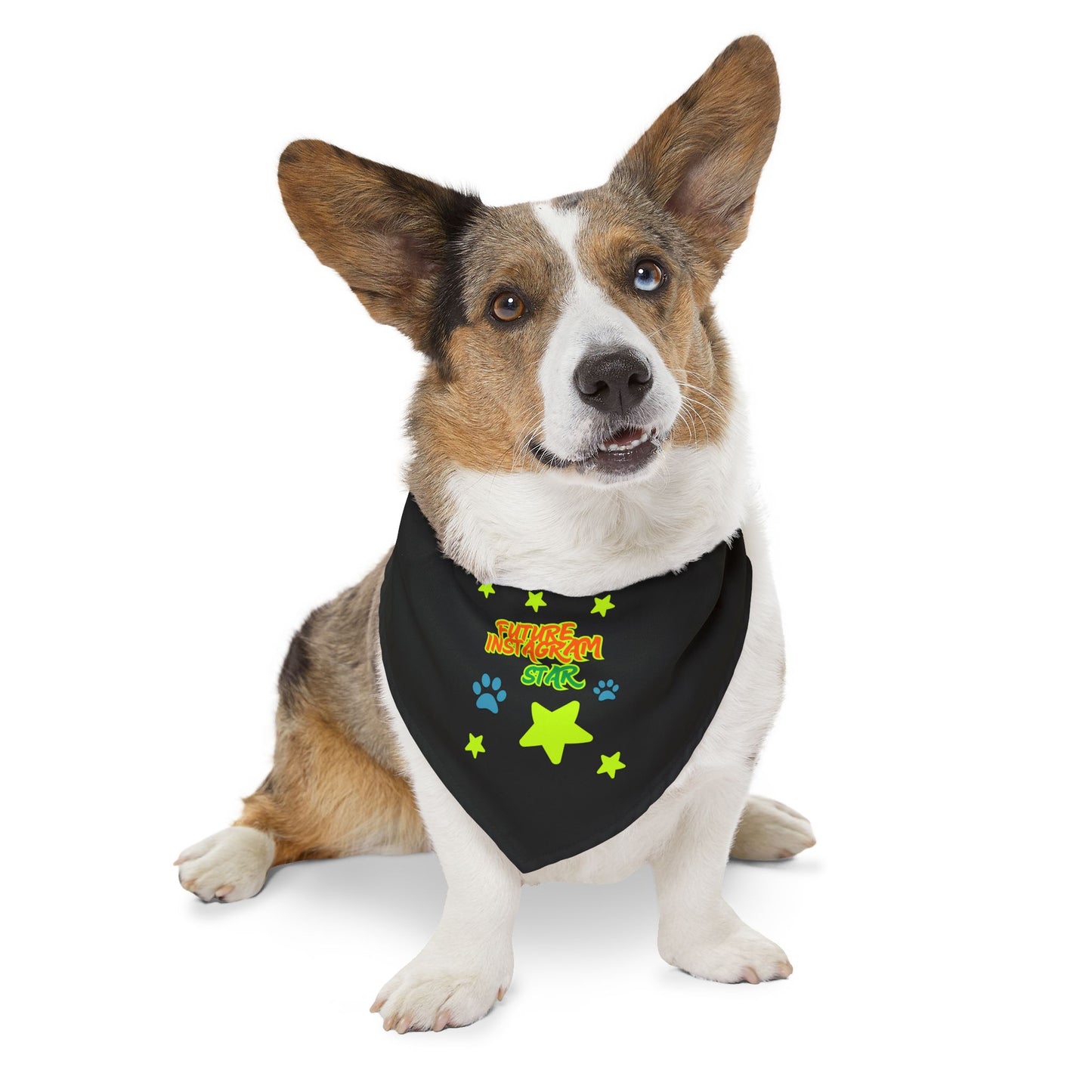 Fun Pet Bandana Collar for Dogs, Playful Style for Pets, Perfect for Walks, Paw-ty Celebrations, Holiday Gifts, Pet Dress Up