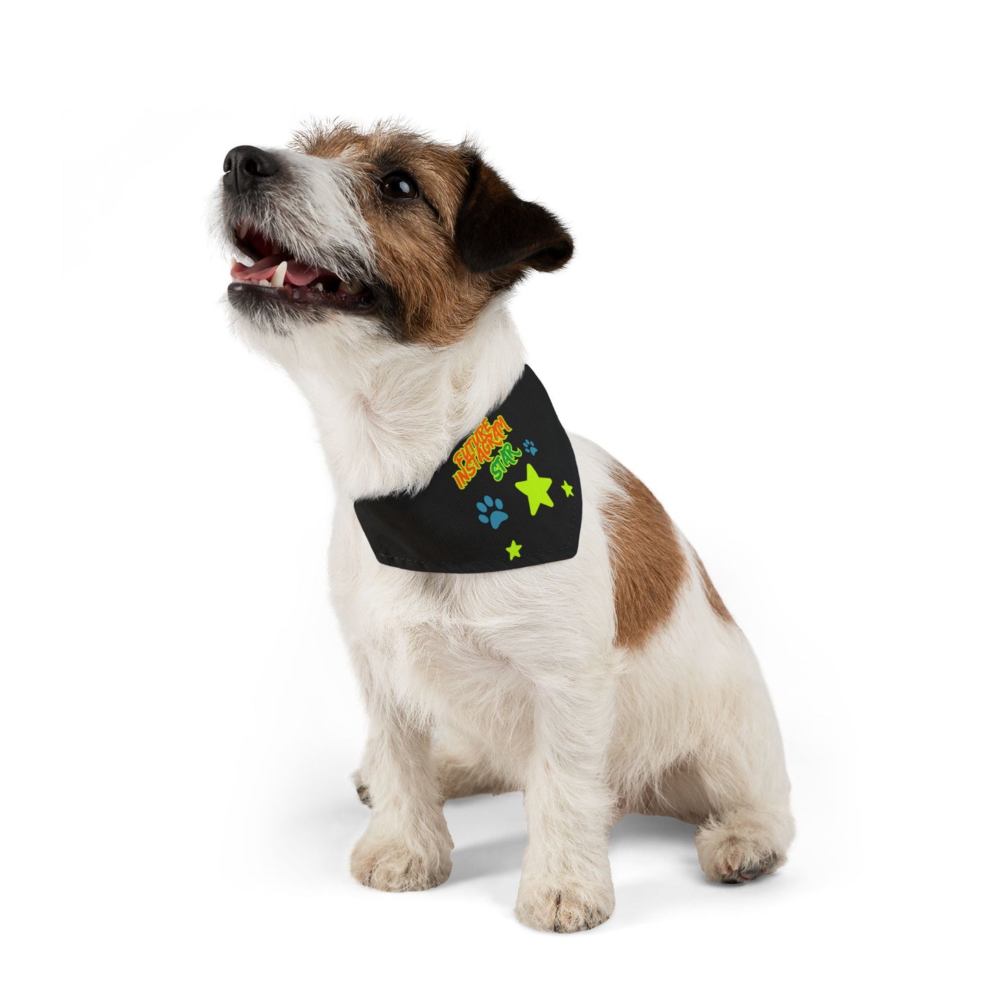 Fun Pet Bandana Collar for Dogs, Playful Style for Pets, Perfect for Walks, Paw-ty Celebrations, Holiday Gifts, Pet Dress Up