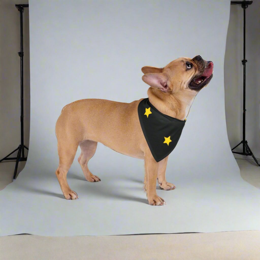 Stars-Pet Bandana - Sniff Waggle And Walk