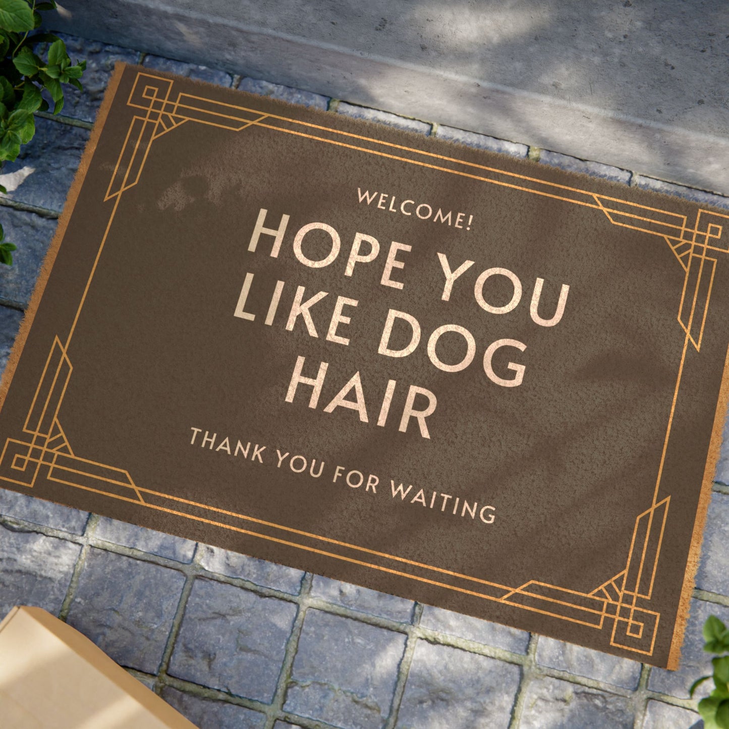 "WELCOME HOPE YOU LIKE DOG HAIR" ECO FRIENDLY DOOR MAT