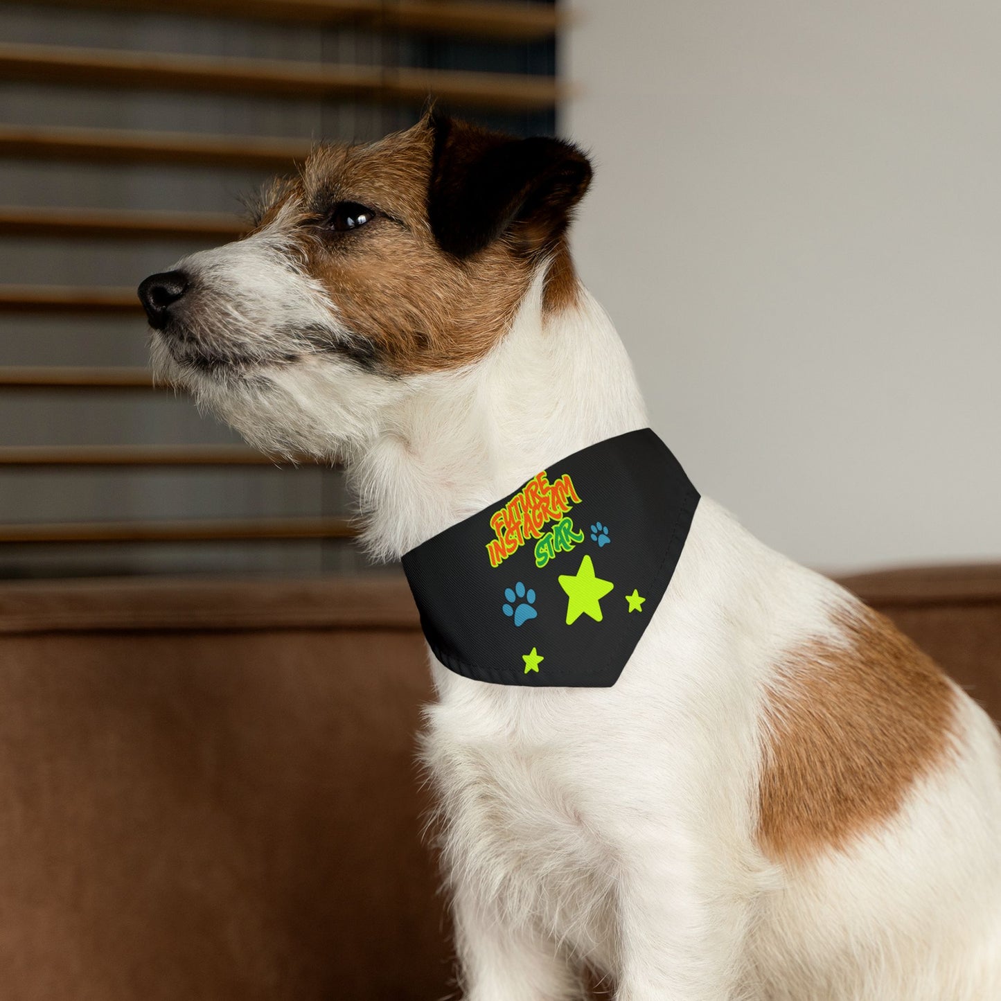 Fun Pet Bandana Collar for Dogs, Playful Style for Pets, Perfect for Walks, Paw-ty Celebrations, Holiday Gifts, Pet Dress Up