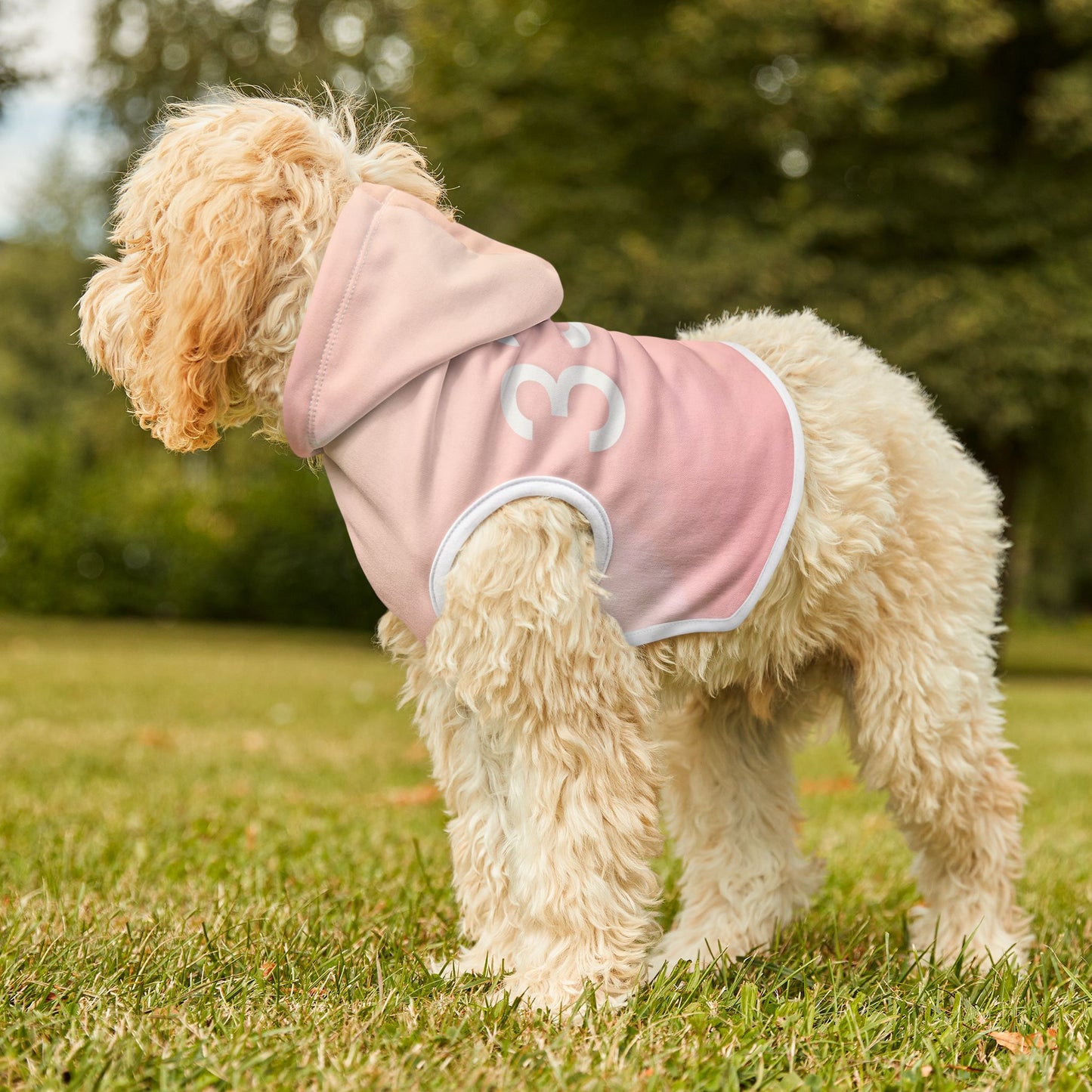 Spiritual calm hoodie for dogs with 333 design