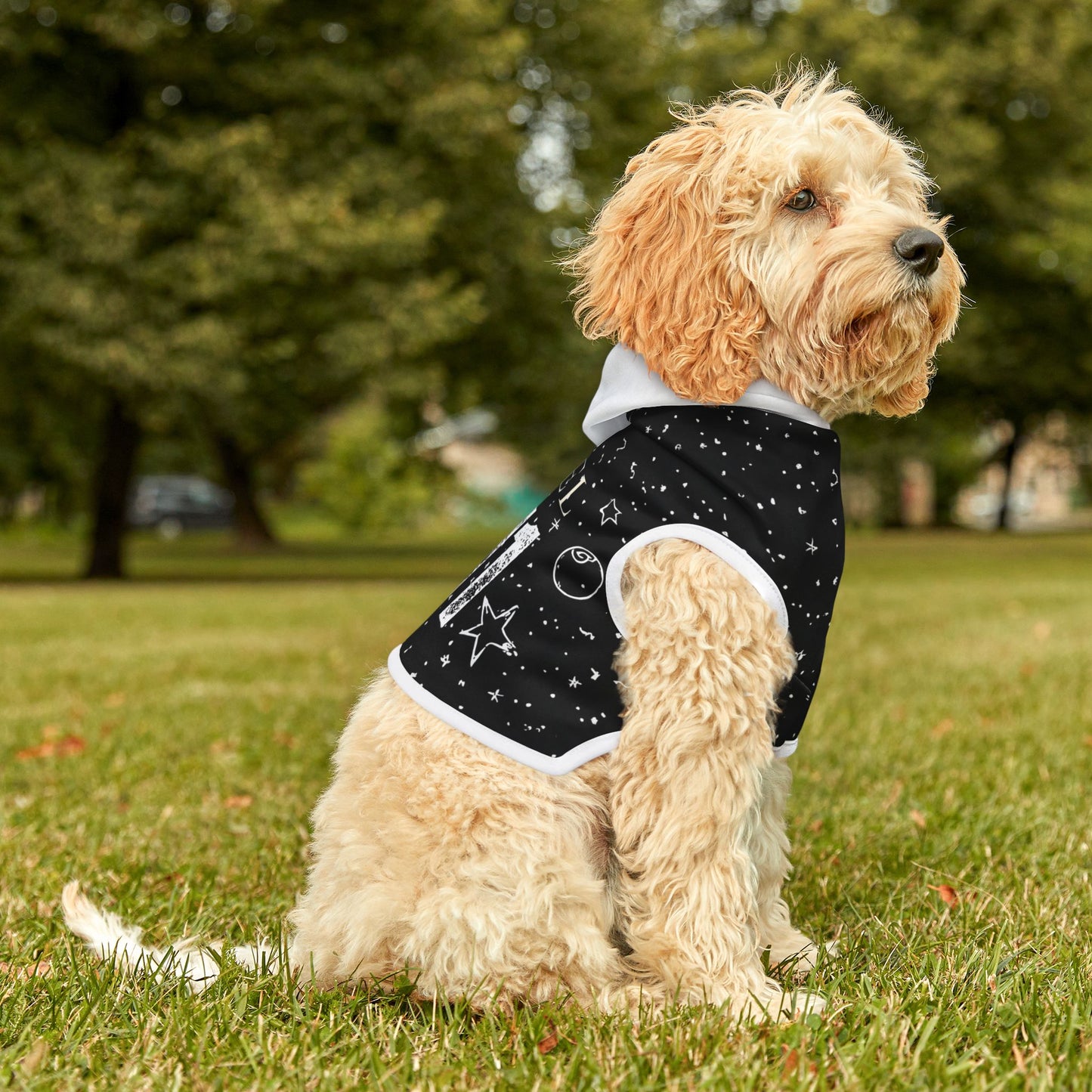 Pet Hoodie — Black 'Angel 11:11' Starry Hooded Dog Shirt