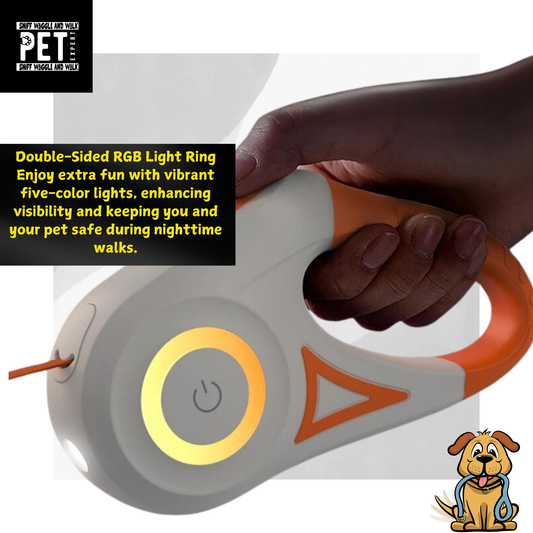 5m rechargeable dog leash