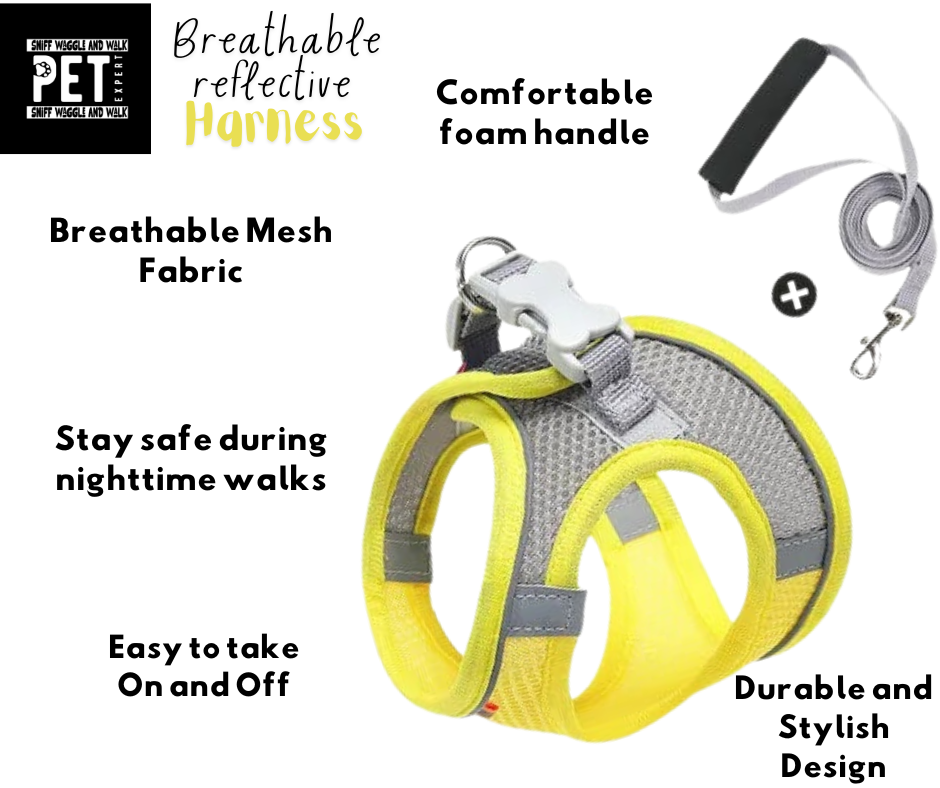 Reflective Breathable Adjustable Harness by Sniffwagglendwalk®
