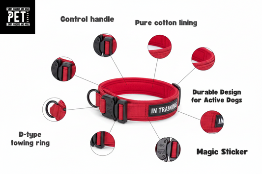 TactiCollar™ size guide — M fits 36-48cm, L fits 42-54cm, XL fits 50-60cm, all 3.8cm wide