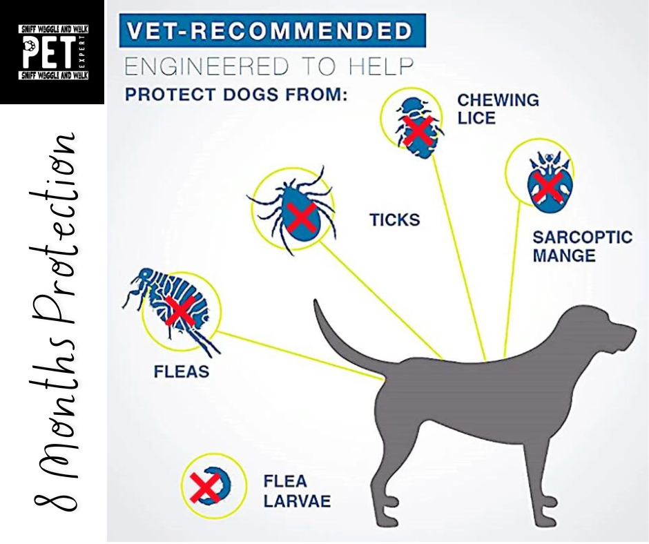 8-Month Flea & Tick Collar-Waterproof, Vet-Approved Protection for Pets