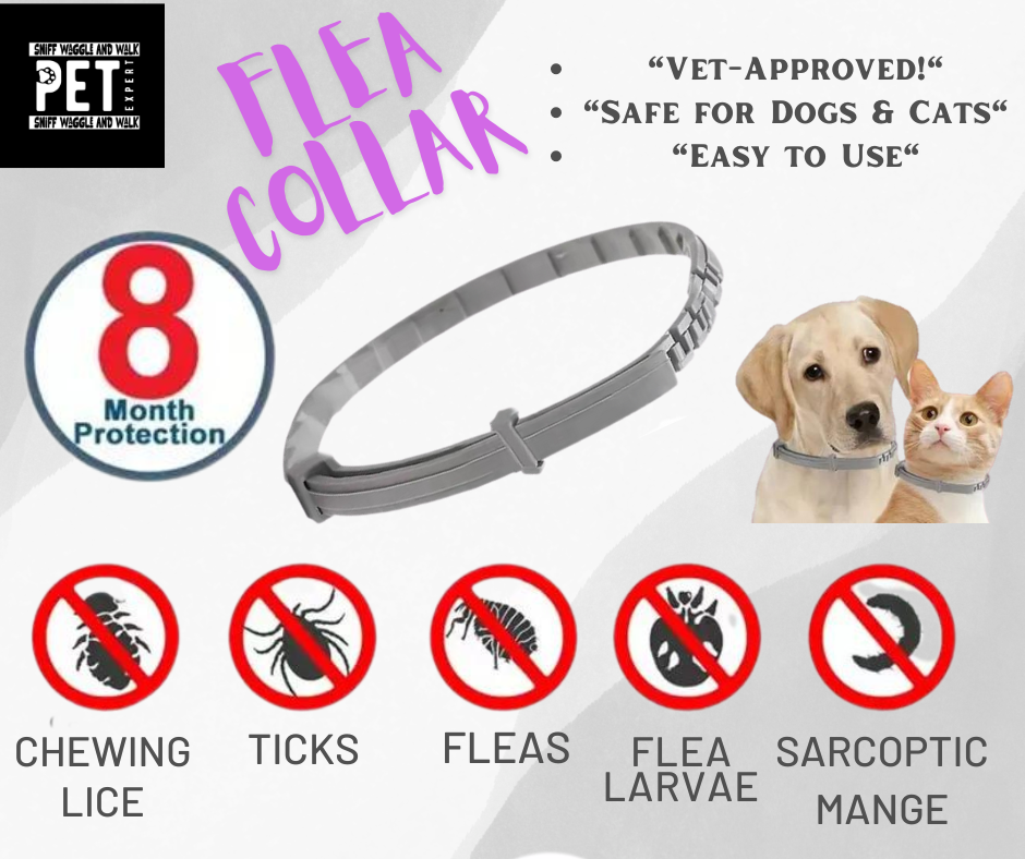 8-Month Flea & Tick Collar-Waterproof, Vet-Approved Protection for Pets