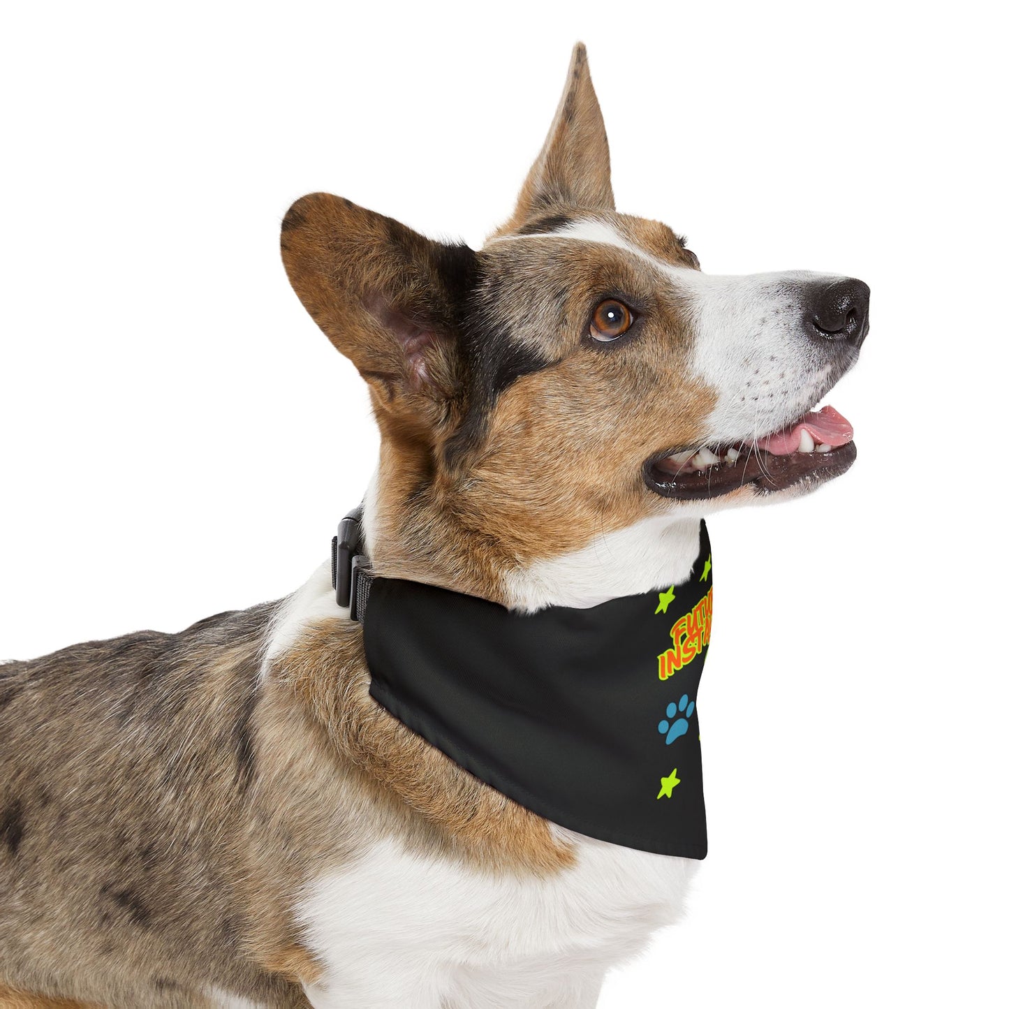 Fun Pet Bandana Collar for Dogs, Playful Style for Pets, Perfect for Walks, Paw-ty Celebrations, Holiday Gifts, Pet Dress Up