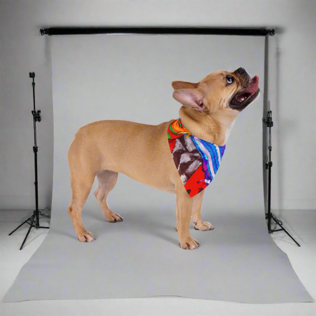 Colourful-Pet Bandana - Sniff Waggle And Walk