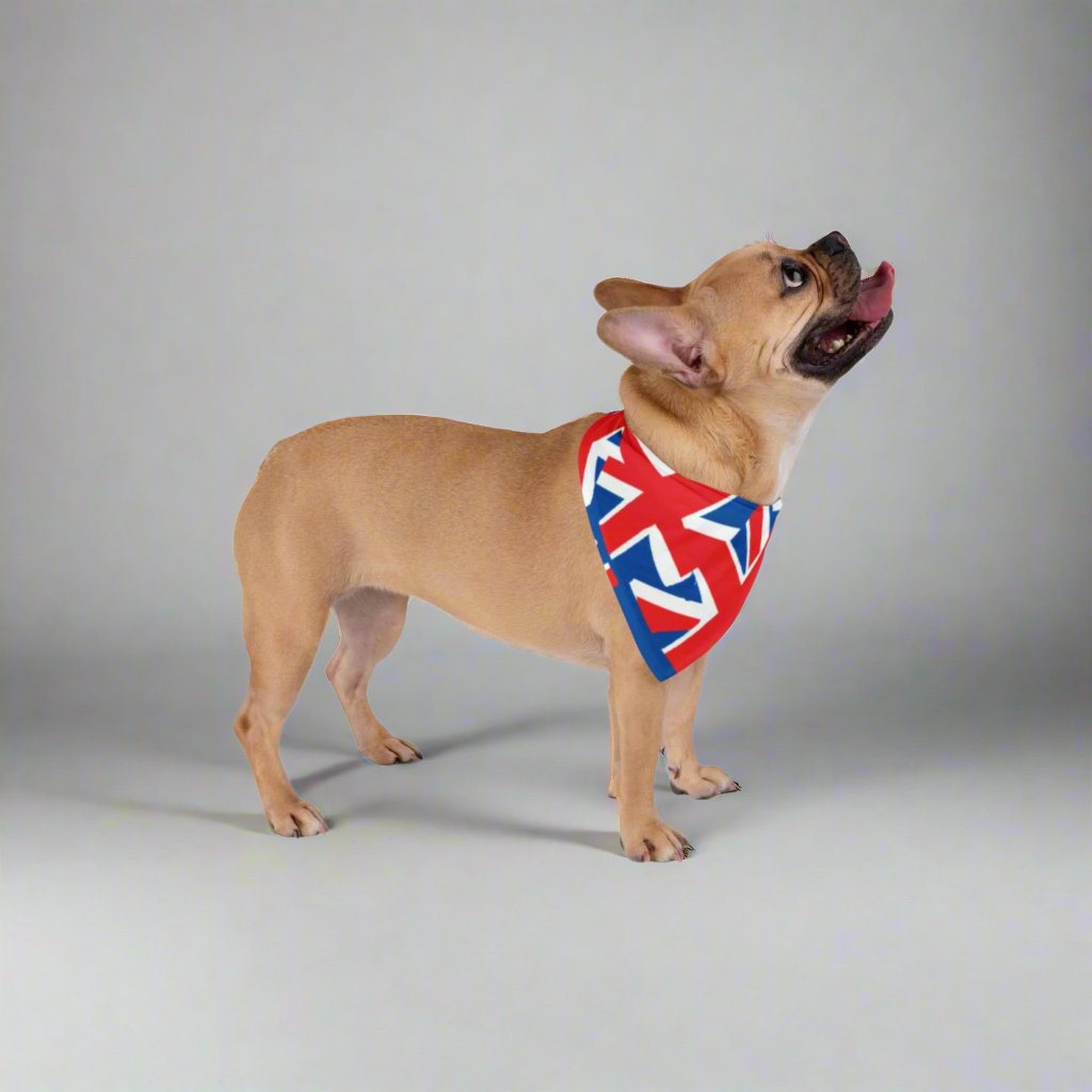 Union jack style-Pet Bandana - Sniff Waggle And Walk