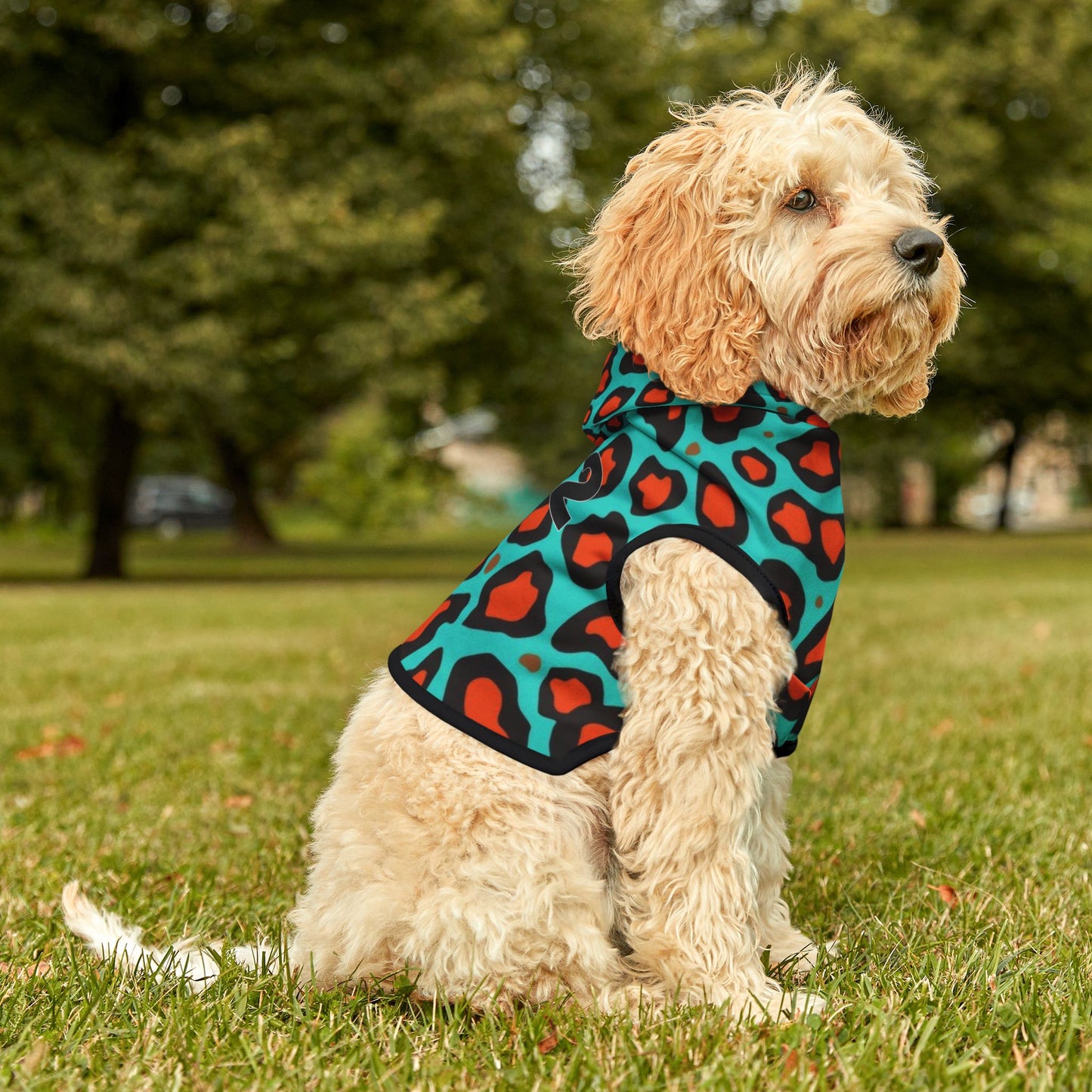 Aesthetic Angel Number Pet Hoodie