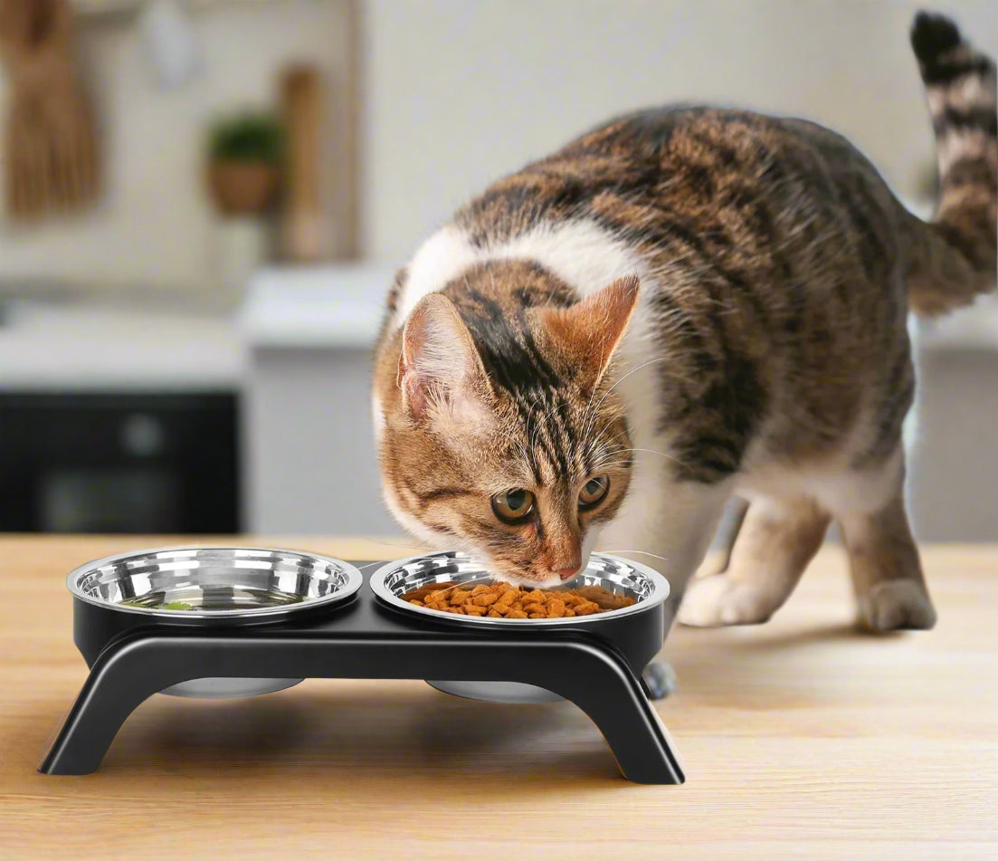 Cat eating from a raised pet feeder with text 'Elevated Design', 'Whisker friendly & Anti-vomiting'.