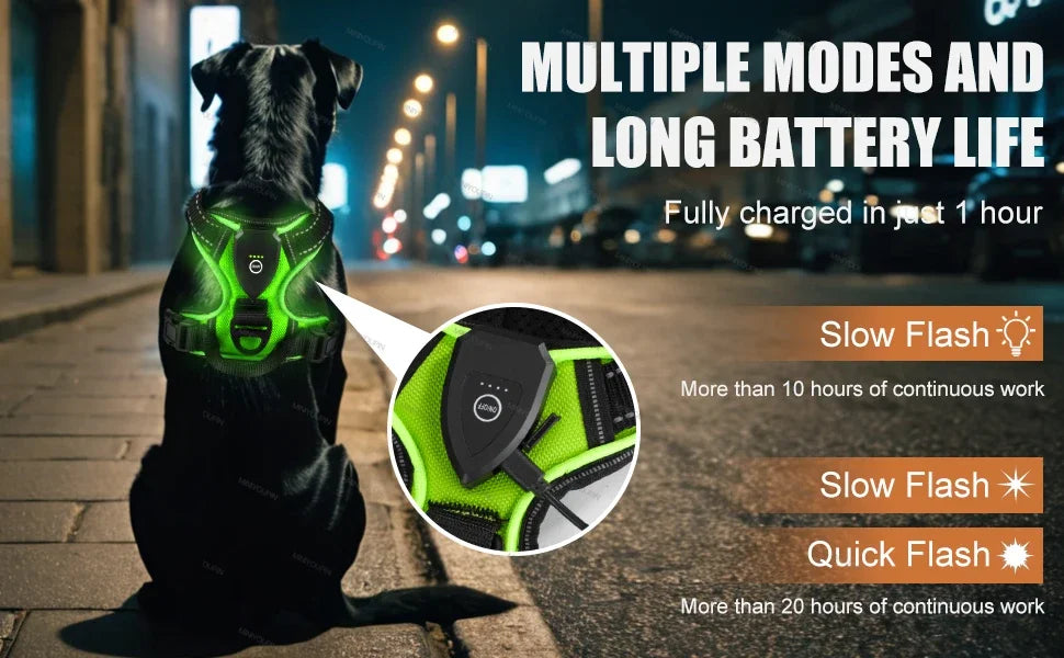 Dog wearing a glowing harness with charging time and flash modes displayed.