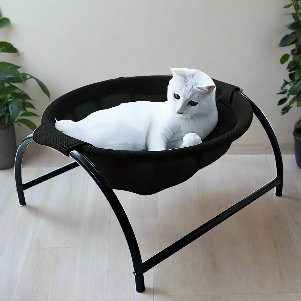White cat lounging on a black pet bed with a modern interior background