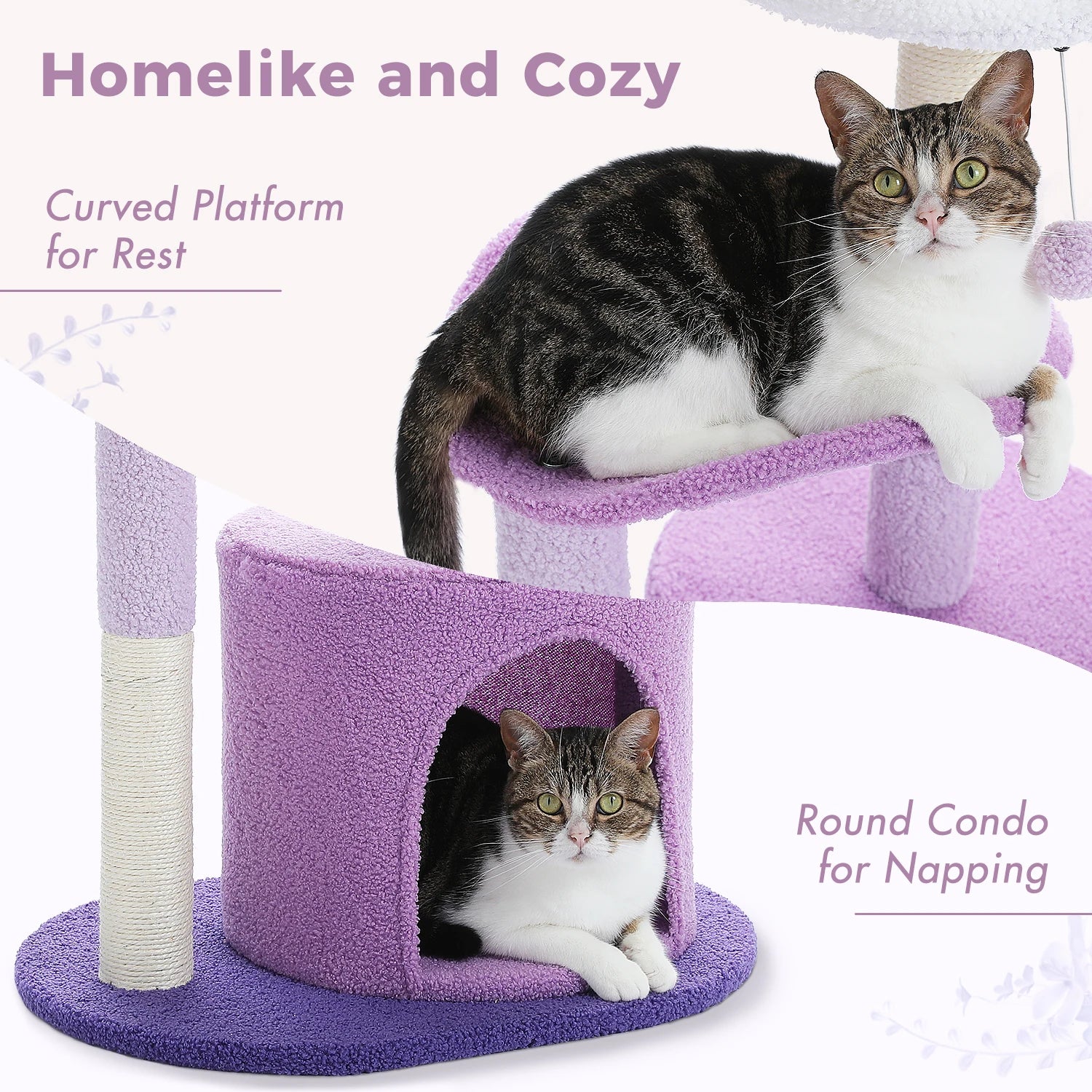 Purple cat tree with two cats on a white background