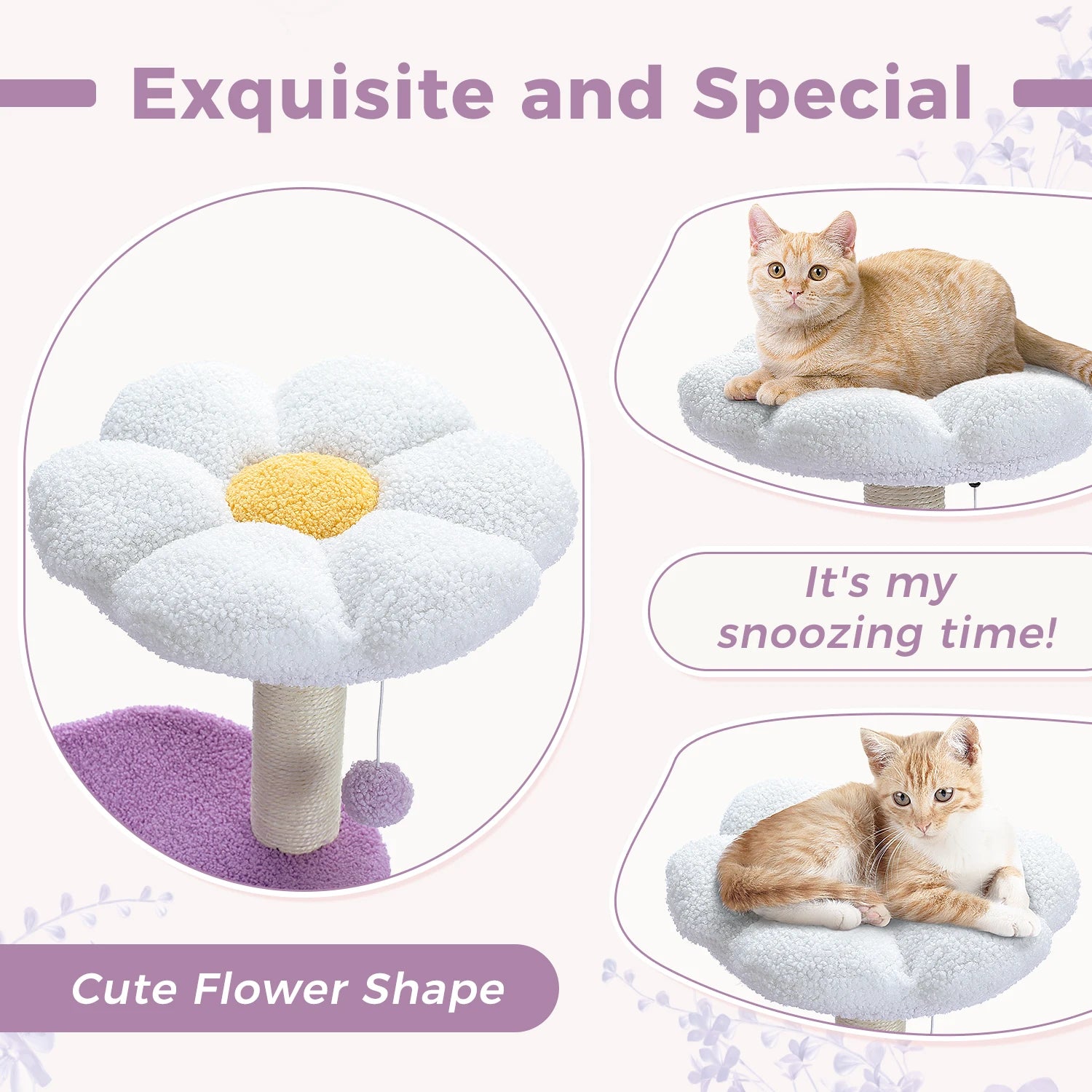 Cat lounging on a flower-shaped pet bed with text highlighting its special features.