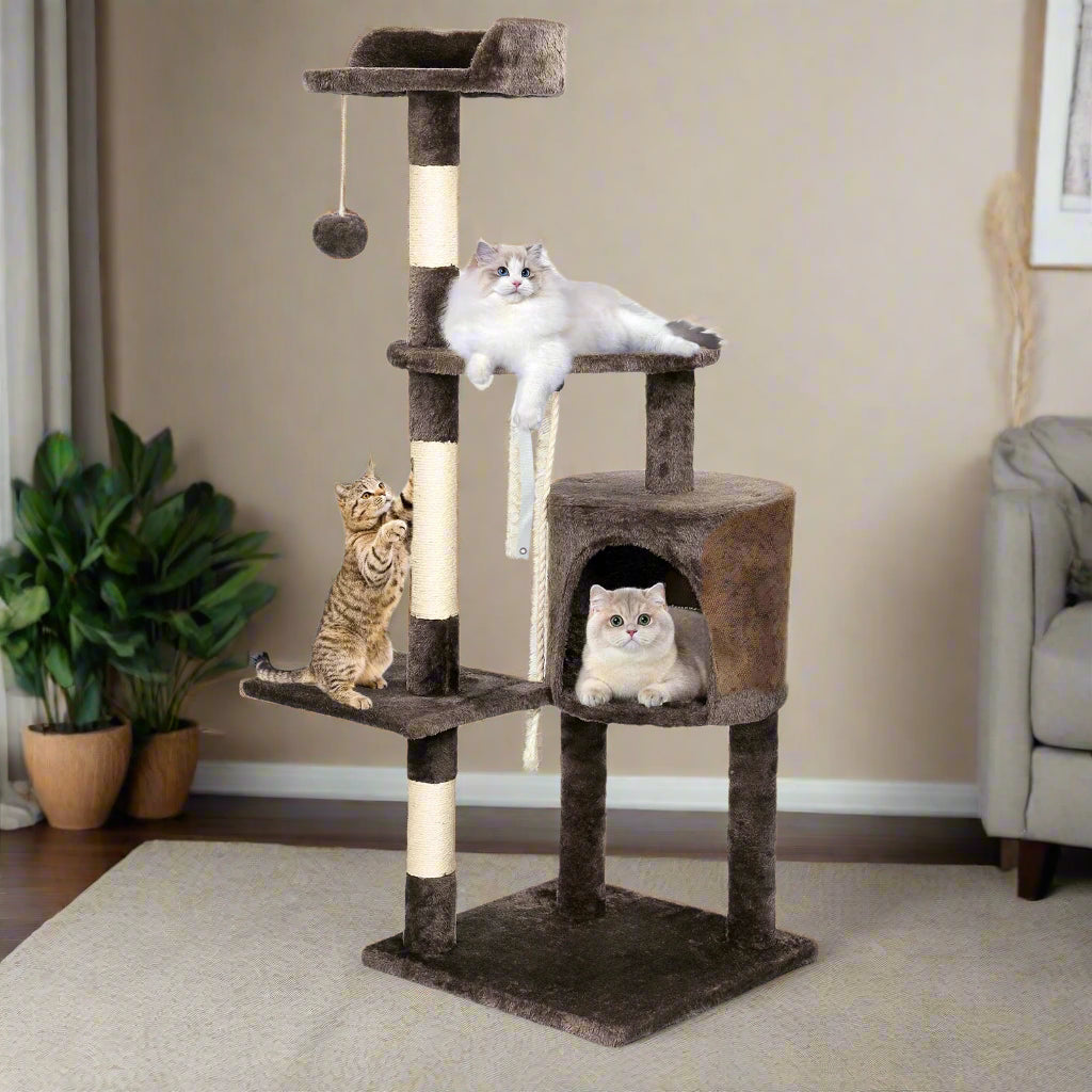 Cat climbing frame with comfortable resting spots