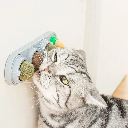 cat playing with rotating catnip wall toy
