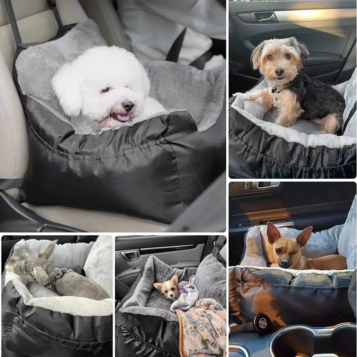 Collage of dogs in a car seat cover