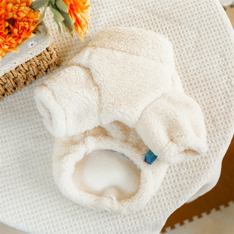 Cute small dog wearing fluffy winter jacket