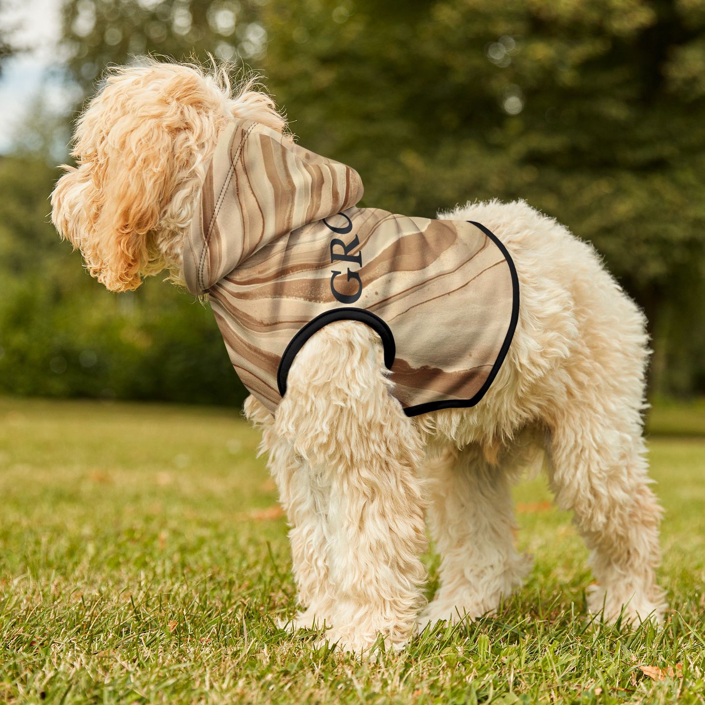Dog wearing a striped hoodie with text in an outdoor setting