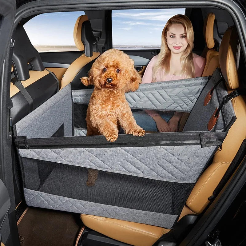Dog in a car with a pet barrier, woman sitting in the back seat