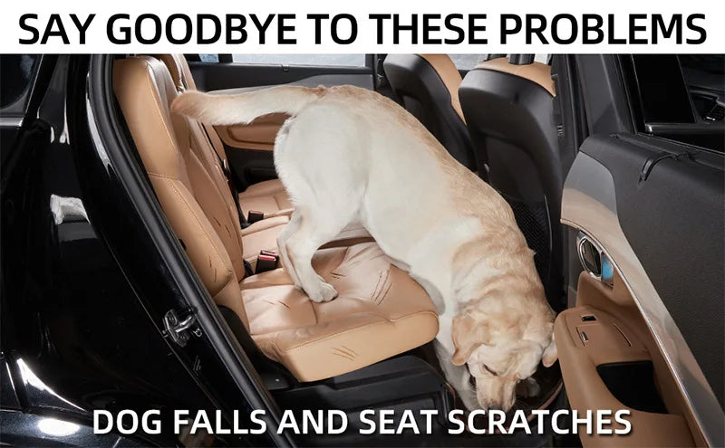 Dog inside a car with text about dog falls and seat scratches