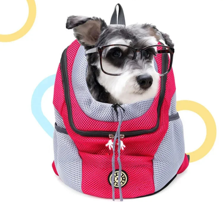 Owner carrying pet backpack on front and back