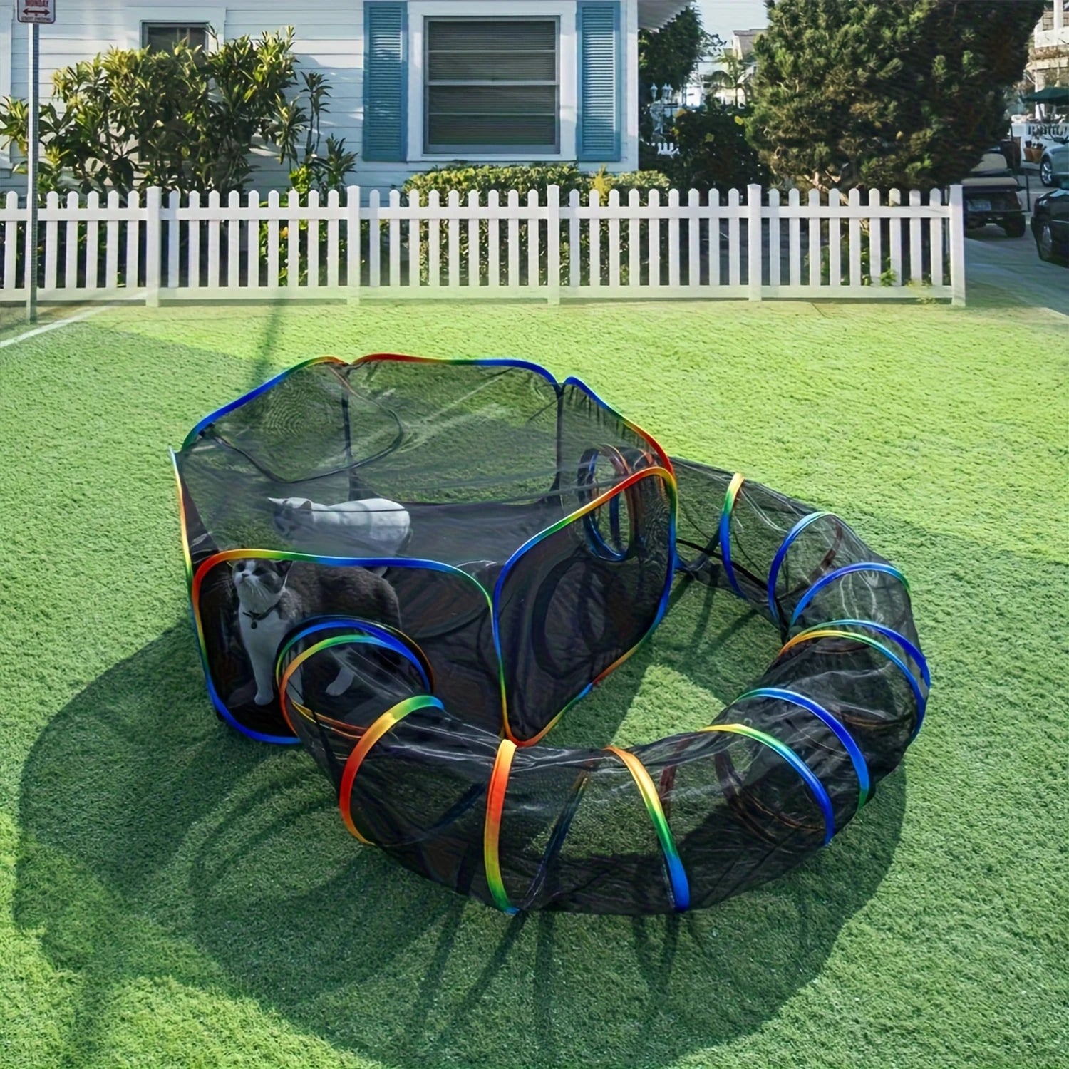 cat playing with a colorful playpen on grass in front of a house.