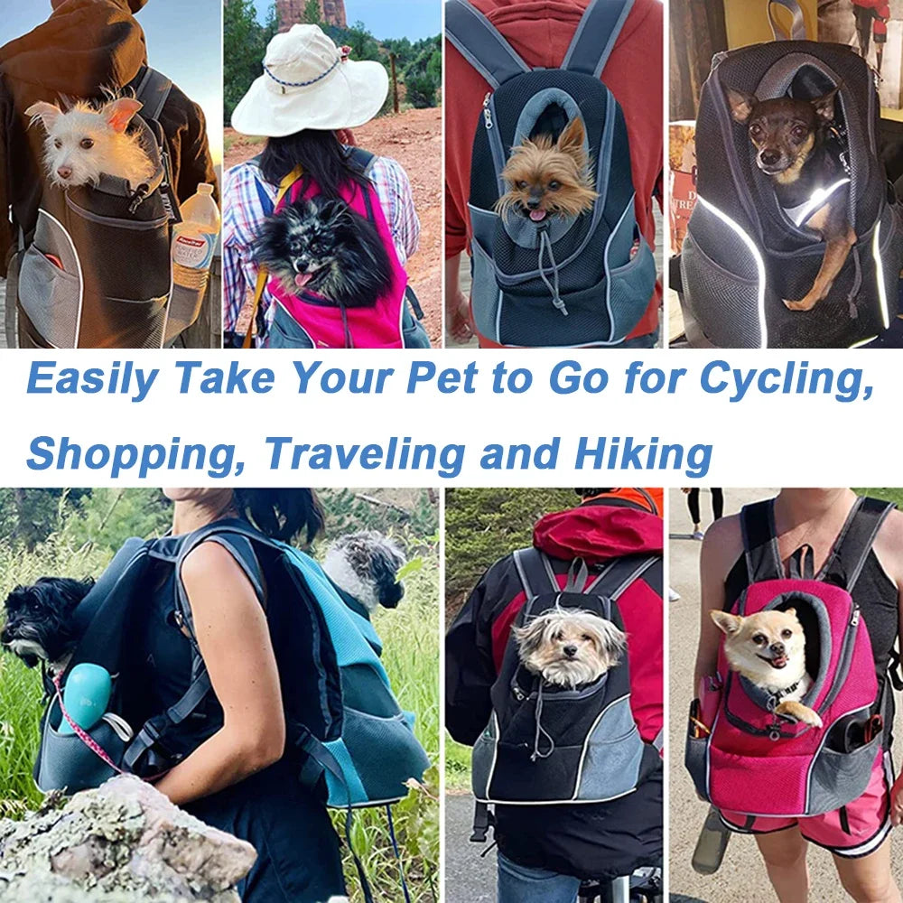 Collage of people carrying dogs in backpacks for various activities.