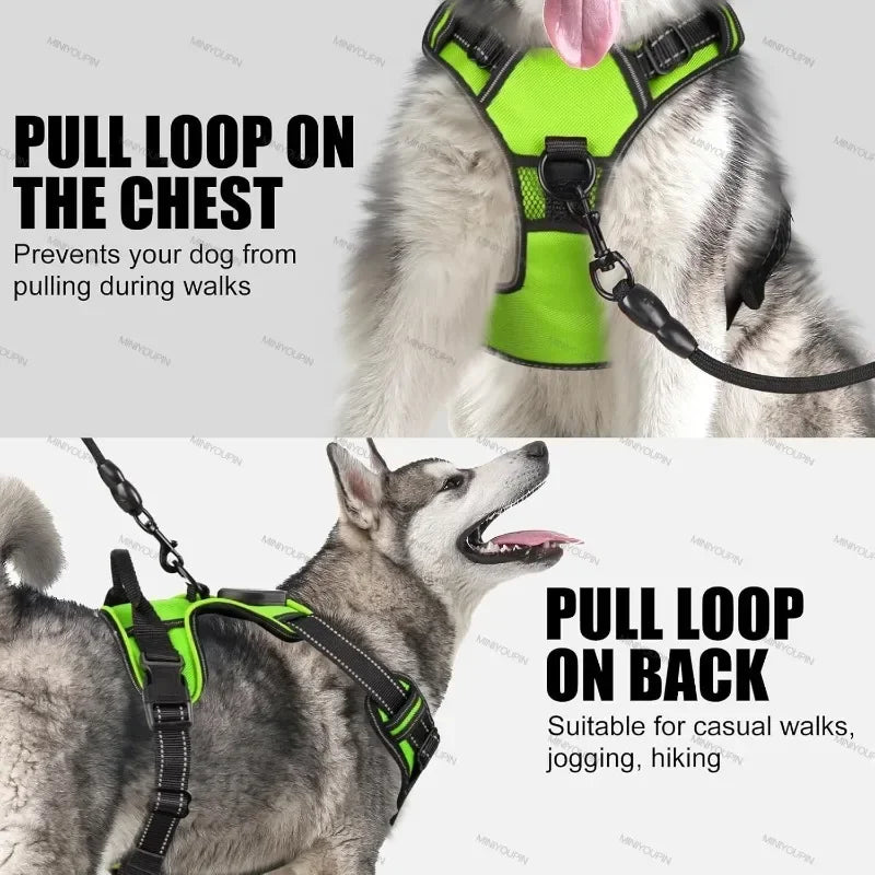 Dog harness with pull loops on chest and back, featuring a husky.