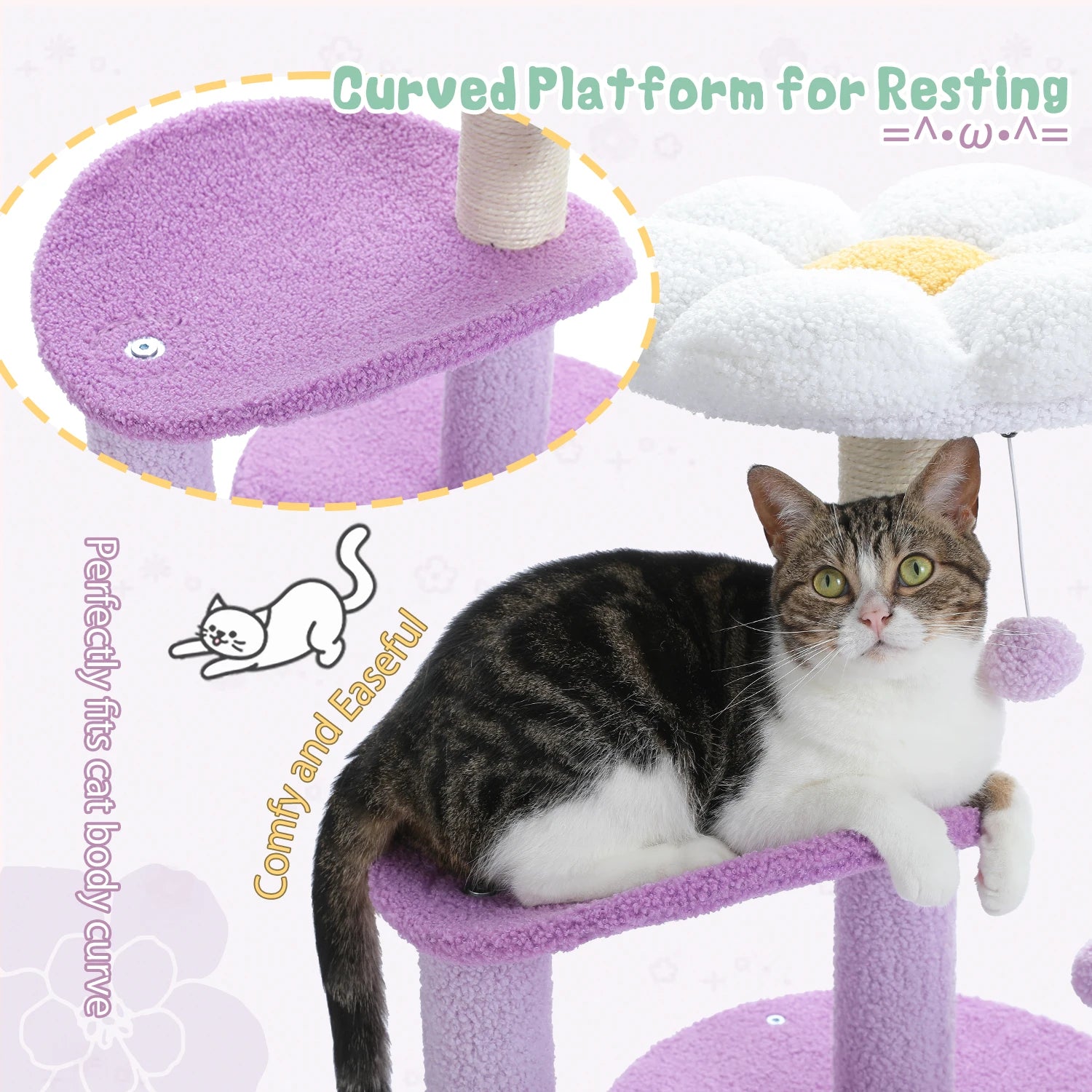 Cat sitting on a purple curved platform with text highlighting its features.