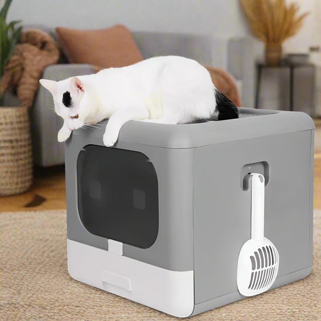 Compact foldable cat litter box that saves space in small homes and flats.