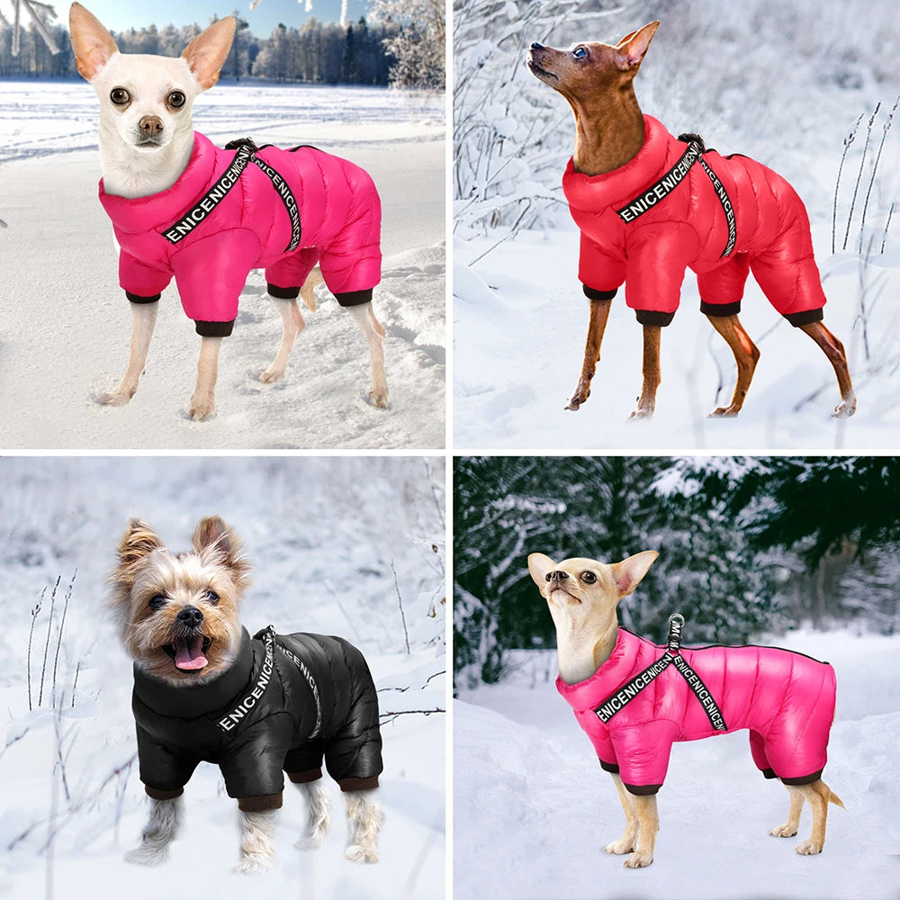 SniffwagglendwalkĀ® Winter Dog coat. - Sniff Waggle And Walk