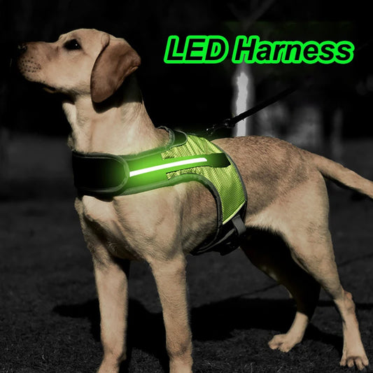 GlowGuard™: The ultimate LED Dog Harness - Sniff Waggle And Walk