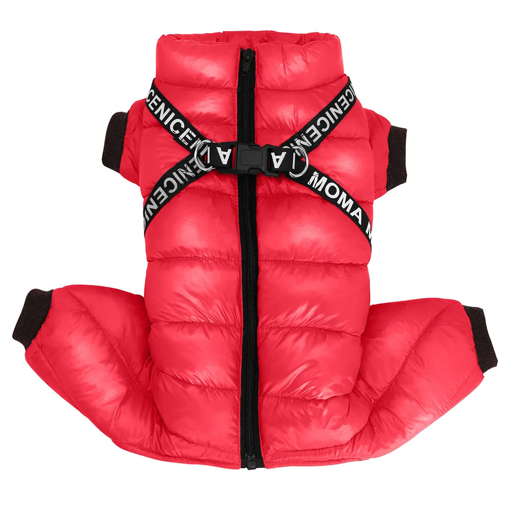 SniffwagglendwalkĀ® Winter Dog coat. - Sniff Waggle And Walk