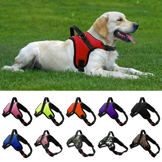 Sniffwagglendwalk® Reflective Harness. - Sniff Waggle And Walk