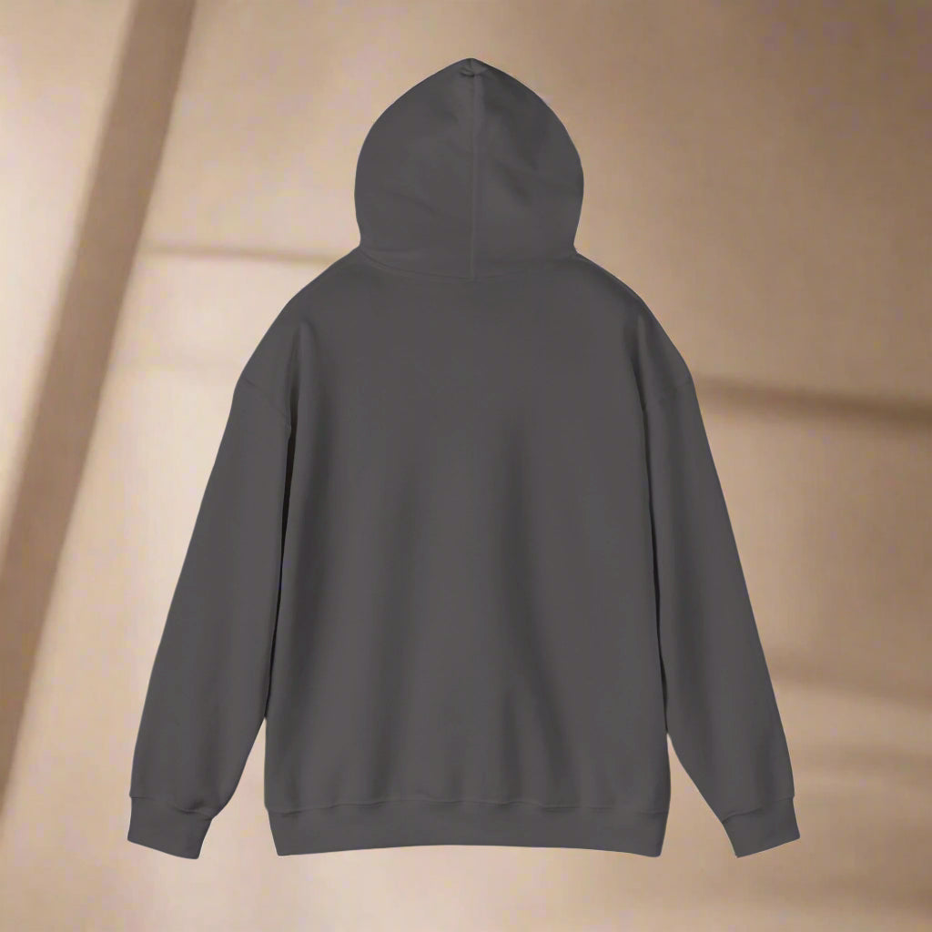 "If my dog doesn't like you its a no" Hooded Sweatshirt - Sniff Waggle And Walk GRAY