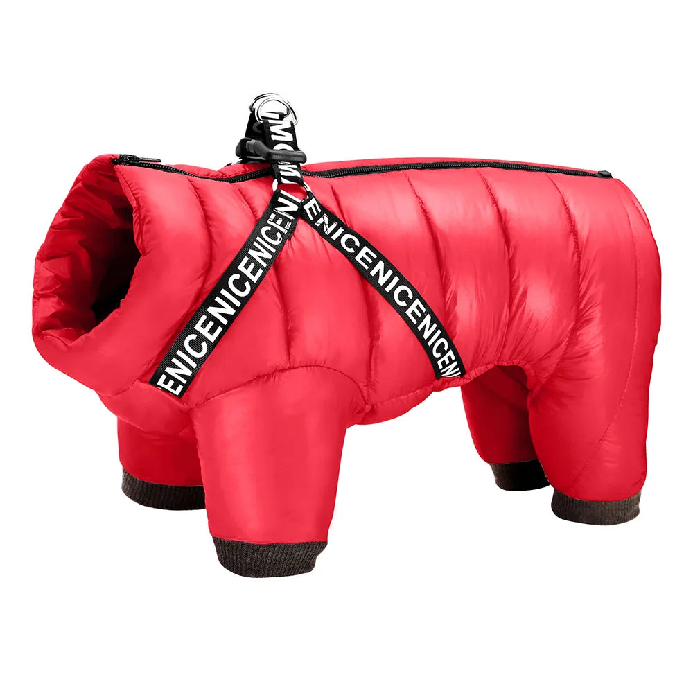 SniffwagglendwalkĀ® Winter Dog coat. - Sniff Waggle And Walk