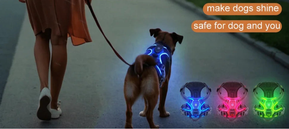 Woman walking a dog wearing a light-up harness with product images and text overlay.