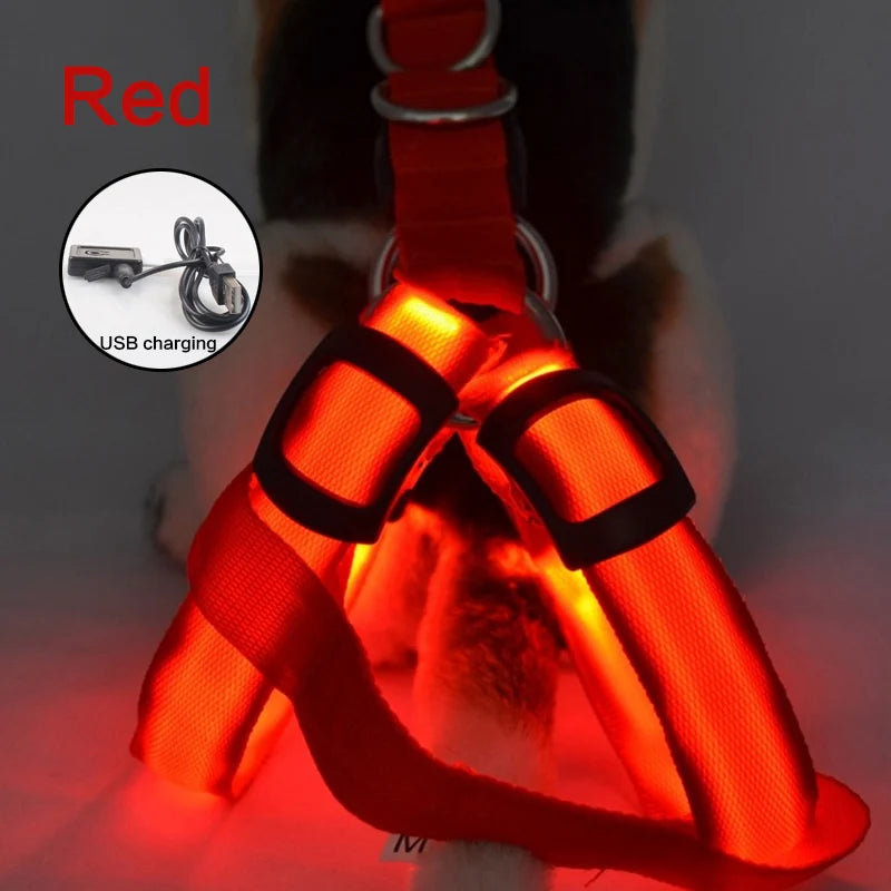red led Illuminate Harness by sniffwagglenwalk - Sniff Waggle And Walk